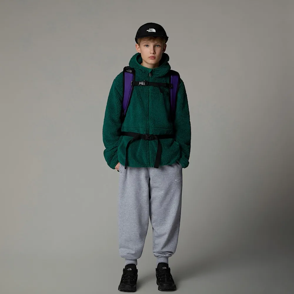 Niños The North Face Forros Polares & Sudaderas<Chaqueta Con Capucha Y Cremallera Integral Campshire Para Jóvenes