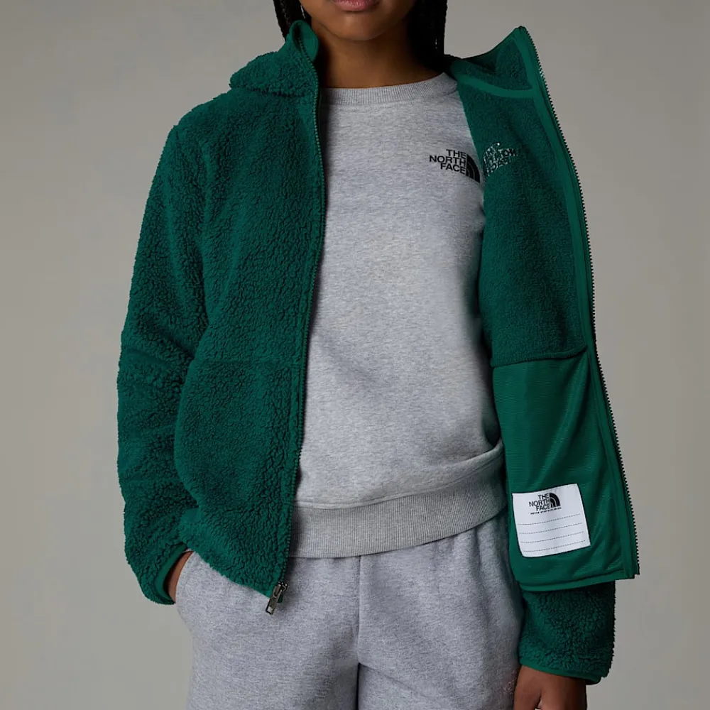 Niños The North Face Forros Polares & Sudaderas<Chaqueta Con Capucha Y Cremallera Integral Campshire Para Jóvenes