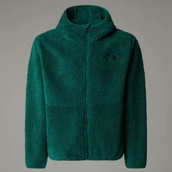 Niños The North Face Forros Polares & Sudaderas<Chaqueta Con Capucha Y Cremallera Integral Campshire Para Jóvenes