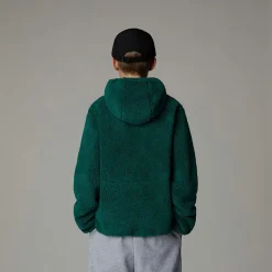 Niños The North Face Forros Polares & Sudaderas<Chaqueta Con Capucha Y Cremallera Integral Campshire Para Jóvenes