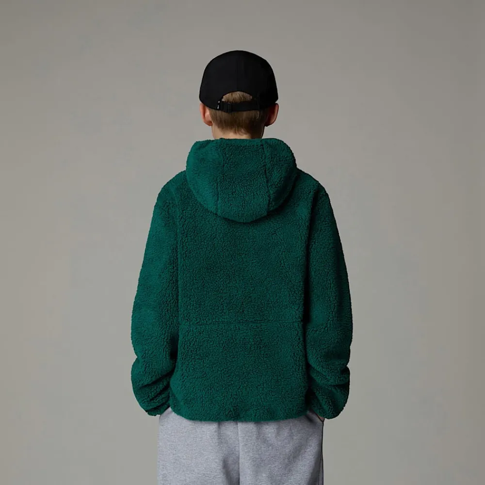 Niños The North Face Forros Polares & Sudaderas<Chaqueta Con Capucha Y Cremallera Integral Campshire Para Jóvenes