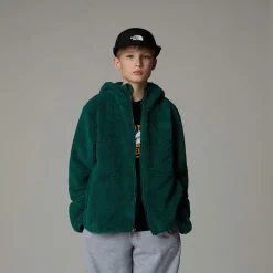 Niños The North Face Forros Polares & Sudaderas<Chaqueta Con Capucha Y Cremallera Integral Campshire Para Jóvenes