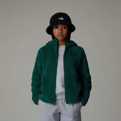 Niños The North Face Forros Polares & Sudaderas<Chaqueta Con Capucha Y Cremallera Integral Campshire Para Jóvenes