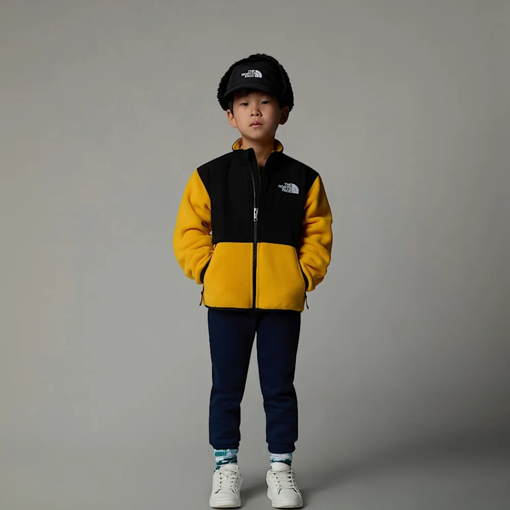Niños The North Face Niños Pequeños (2-7 Años)<Chaqueta Denali Para Niños