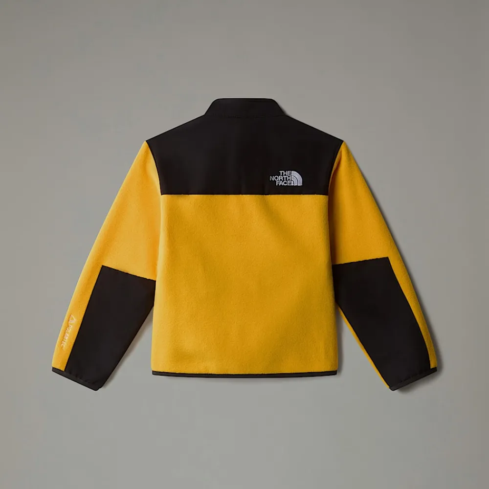 Niños The North Face Niños Pequeños (2-7 Años)<Chaqueta Denali Para Niños