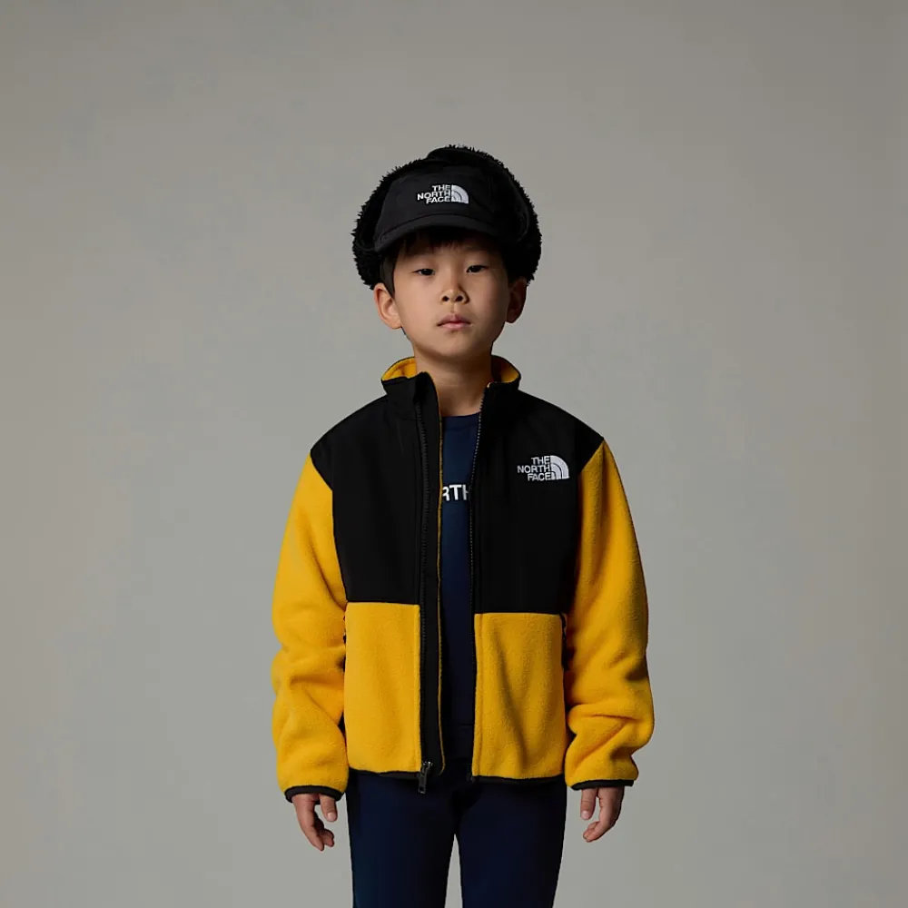 Niños The North Face Niños Pequeños (2-7 Años)<Chaqueta Denali Para Niños