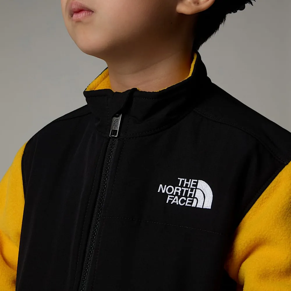 Niños The North Face Niños Pequeños (2-7 Años)<Chaqueta Denali Para Niños