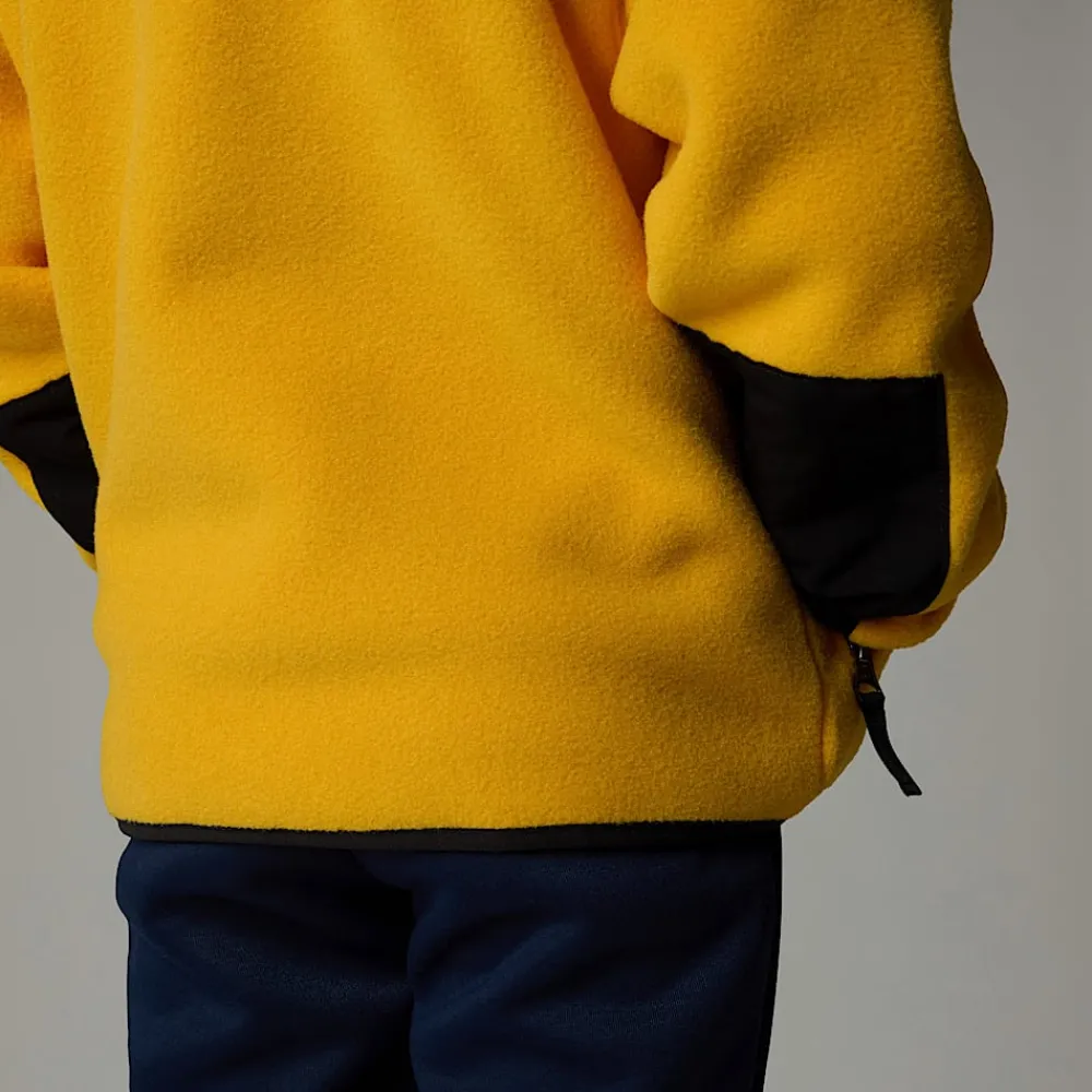 Niños The North Face Niños Pequeños (2-7 Años)<Chaqueta Denali Para Niños