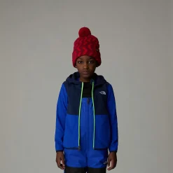 Niños The North Face Niños Pequeños (2-7 Años)<Chaqueta Polar Con Capucha Y Cremallera Integral Glacier Para Niños