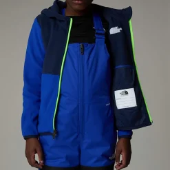 Niños The North Face Niños Pequeños (2-7 Años)<Chaqueta Polar Con Capucha Y Cremallera Integral Glacier Para Niños