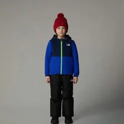 Niños The North Face Niños Pequeños (2-7 Años)<Chaqueta Polar Con Capucha Y Cremallera Integral Glacier Para Niños