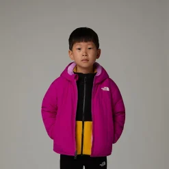 Niños The North Face Niños Pequeños (2-7 Años)<Chaqueta Reversible Con Capucha Y Cremallera Integral Shasta Para Niños