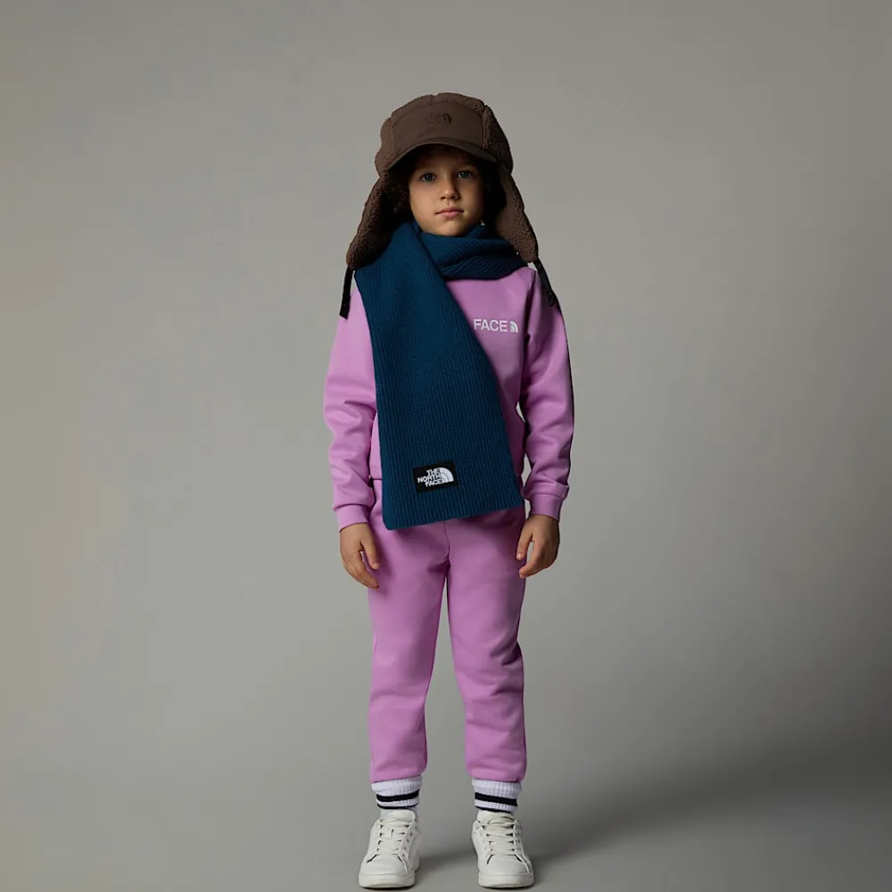 Niños The North Face Niños Pequeños (2-7 Años)<Conjunto De Poliéster Para Niños