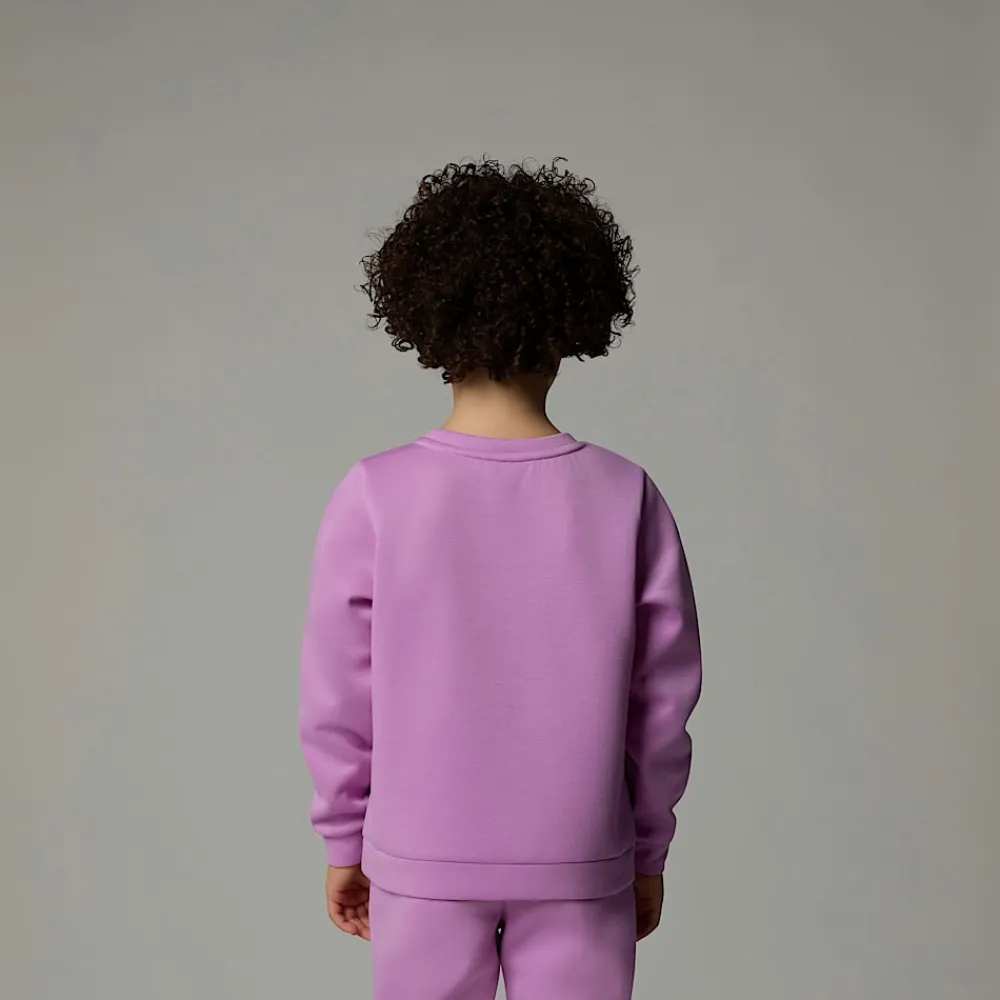 Niños The North Face Niños Pequeños (2-7 Años)<Conjunto De Poliéster Para Niños