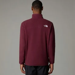 Hombre The North Face Forros Polares<Forro Polar Con Cremallera De 1/4 Glacier 100 Para Hombre