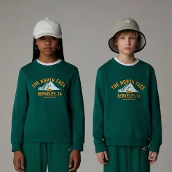 Niños The North Face Forros Polares & Sudaderas|Forros Polares & Sudaderas<Sudadera Holgada Con Estampado Gráfico Varsity Para Jóvenes