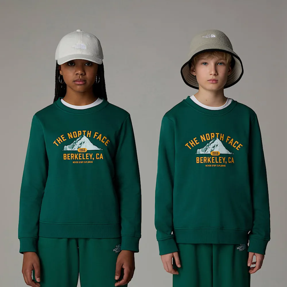 Niños The North Face Forros Polares & Sudaderas|Forros Polares & Sudaderas<Sudadera Holgada Con Estampado Gráfico Varsity Para Jóvenes