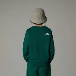 Niños The North Face Forros Polares & Sudaderas|Forros Polares & Sudaderas<Sudadera Holgada Con Estampado Gráfico Varsity Para Jóvenes