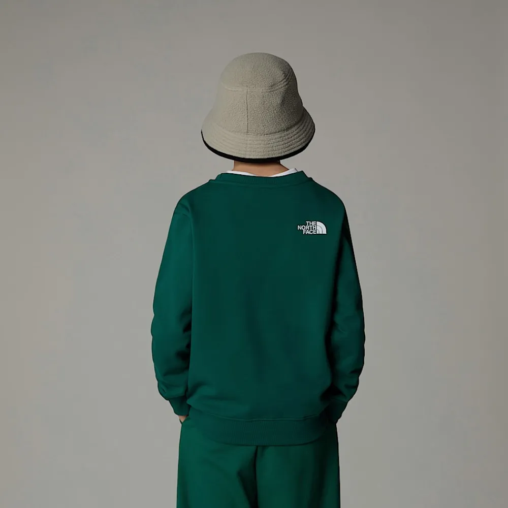 Niños The North Face Forros Polares & Sudaderas|Forros Polares & Sudaderas<Sudadera Holgada Con Estampado Gráfico Varsity Para Jóvenes