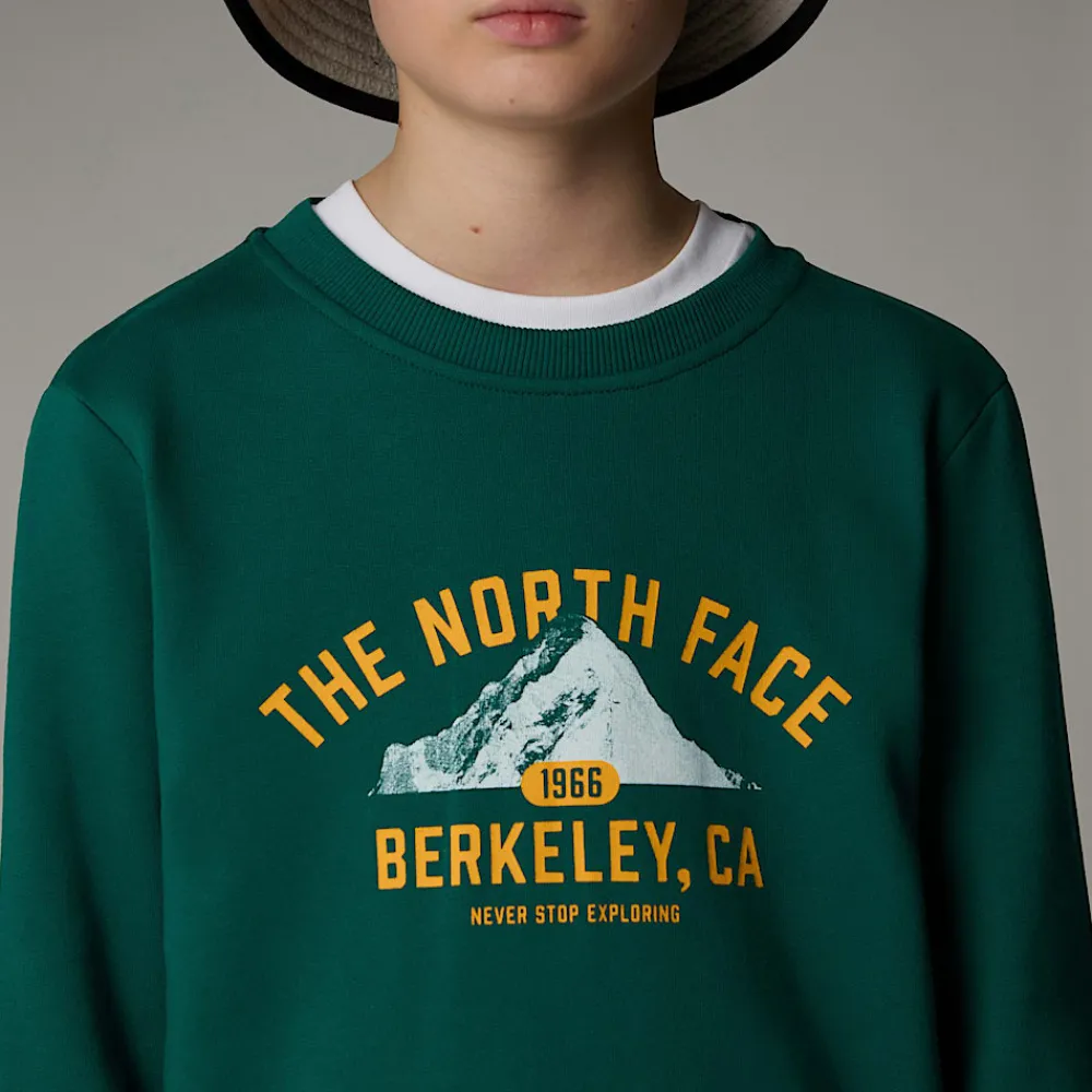 Niños The North Face Forros Polares & Sudaderas|Forros Polares & Sudaderas<Sudadera Holgada Con Estampado Gráfico Varsity Para Jóvenes