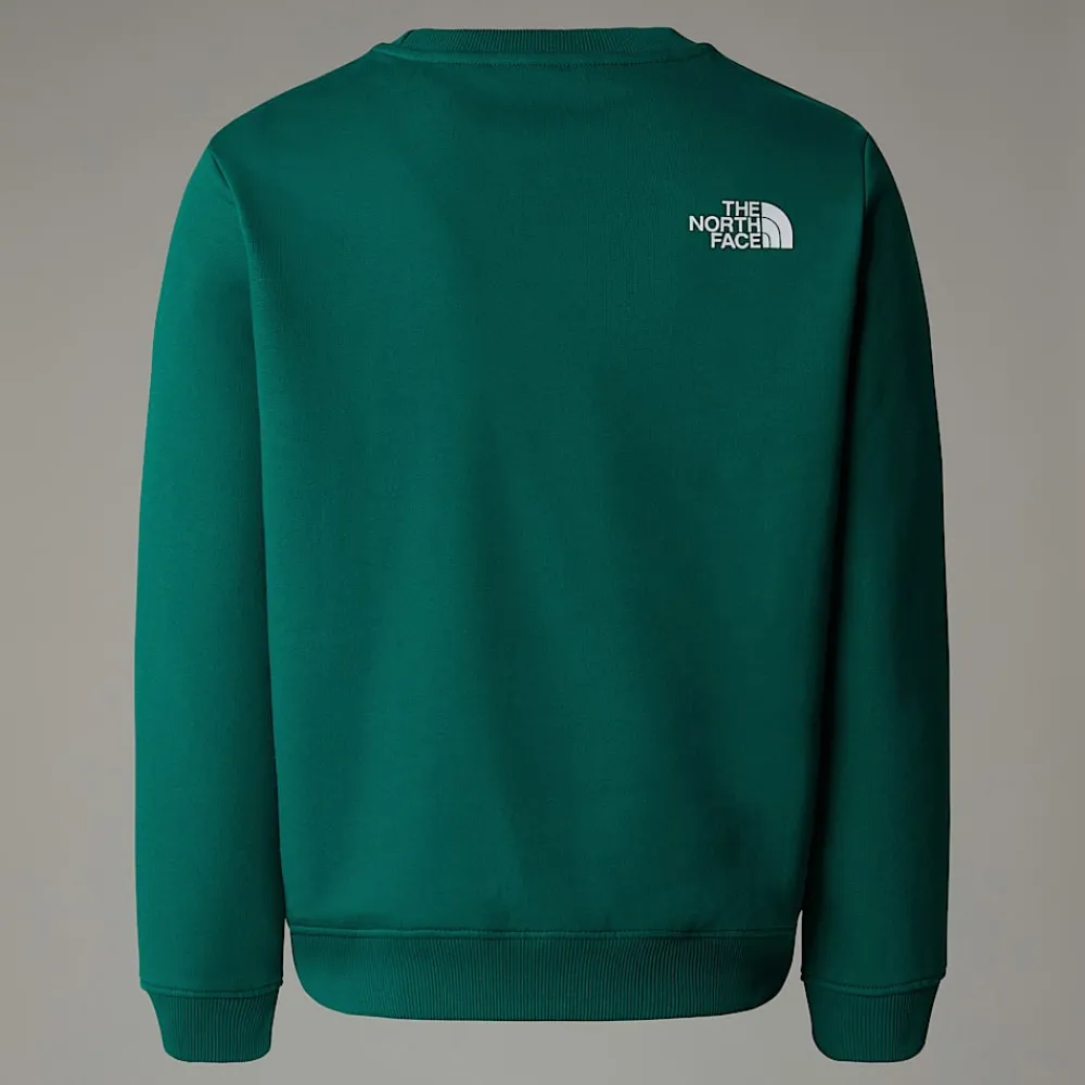 Niños The North Face Forros Polares & Sudaderas|Forros Polares & Sudaderas<Sudadera Holgada Con Estampado Gráfico Varsity Para Jóvenes
